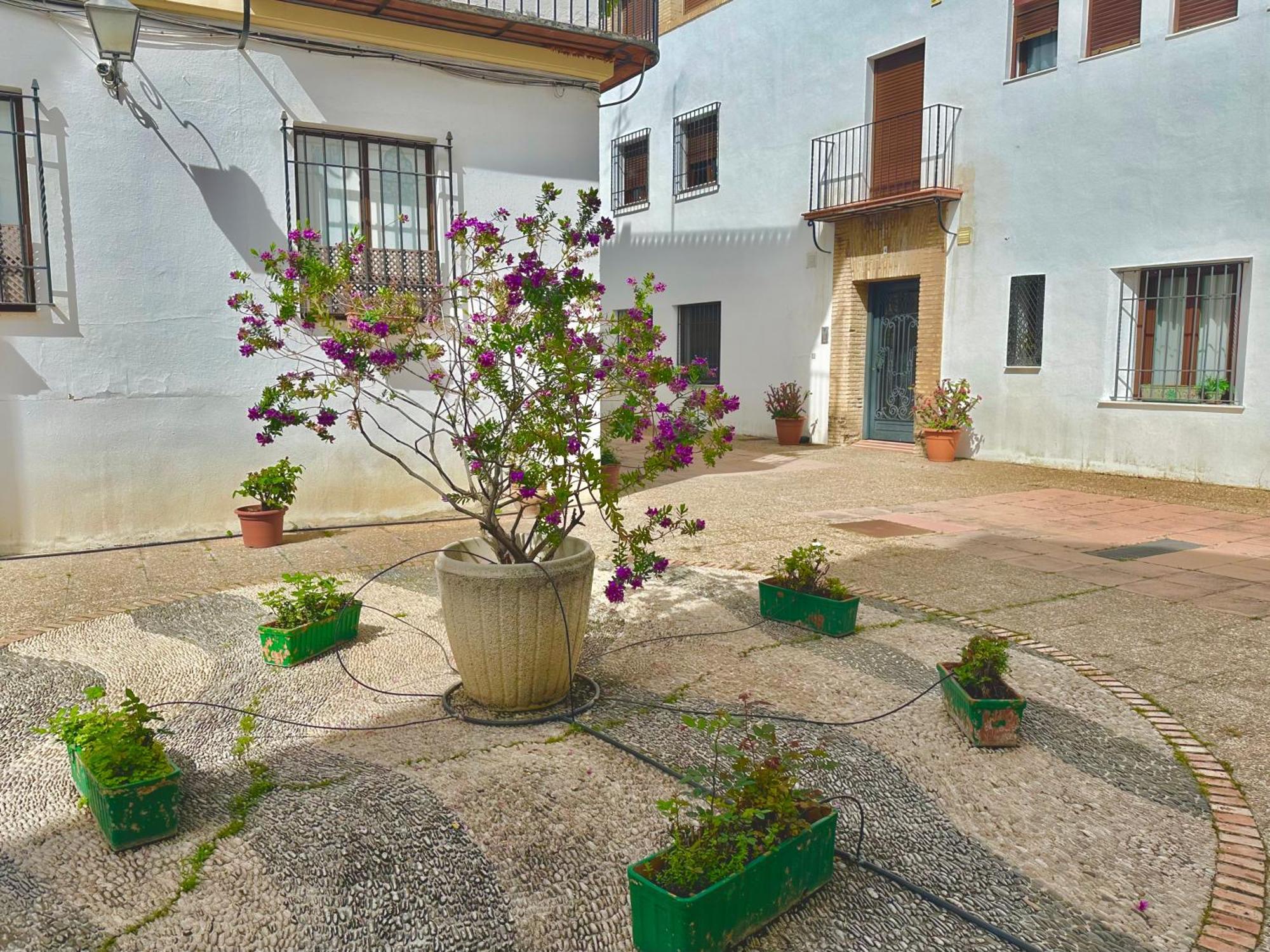 Apartmán La Sacristia De San Pablo Córdoba Exteriér fotografie