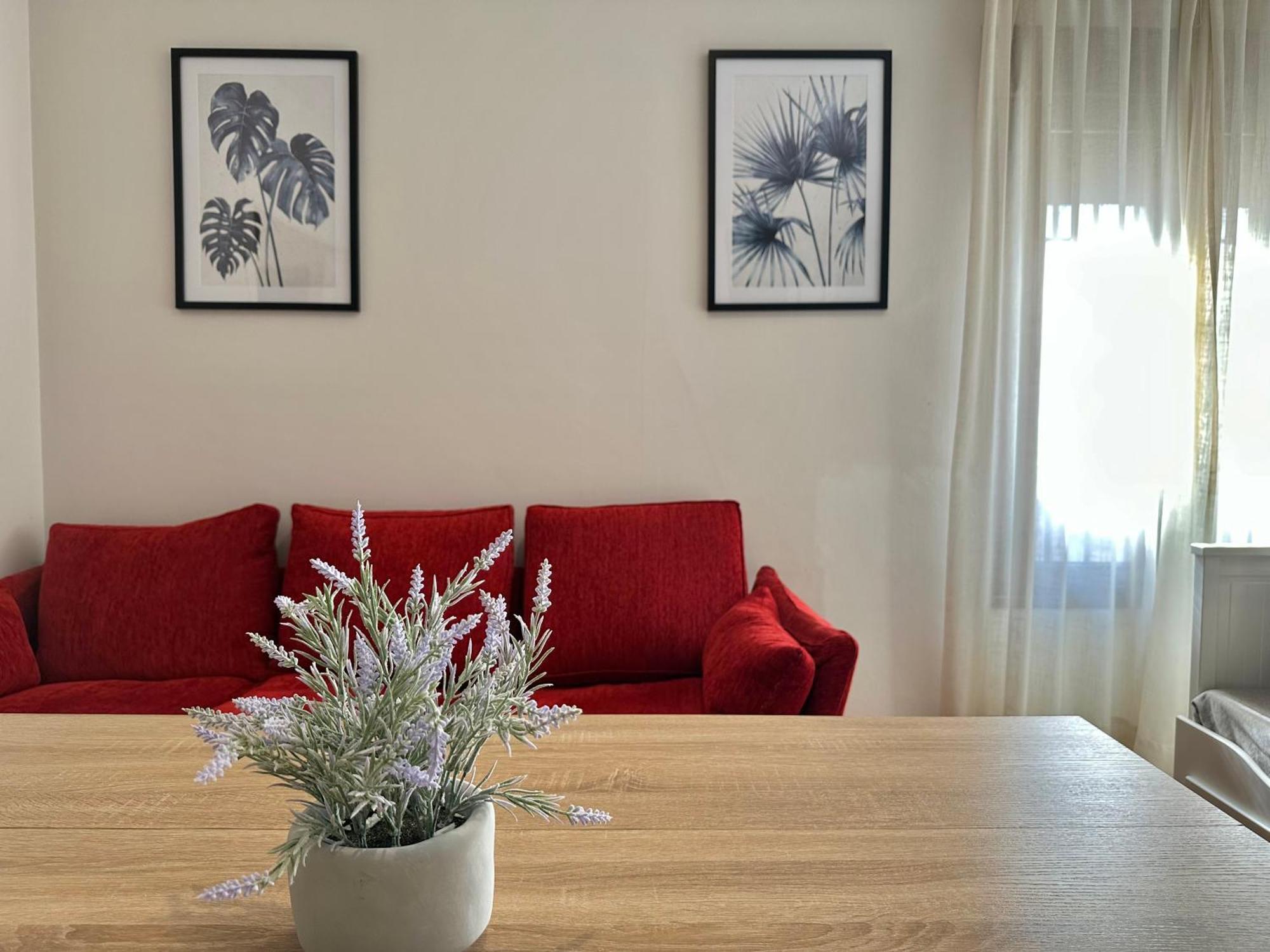 Apartmán La Sacristia De San Pablo Córdoba Exteriér fotografie